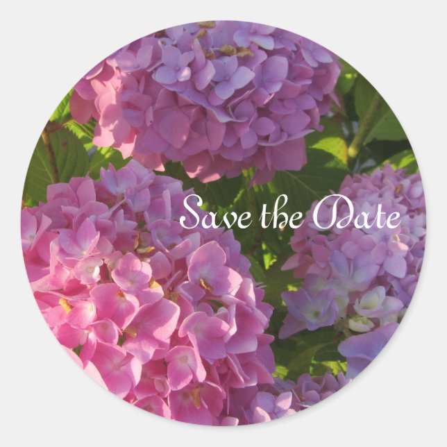 Sticker Rond Hydrangeas roses (Devant)