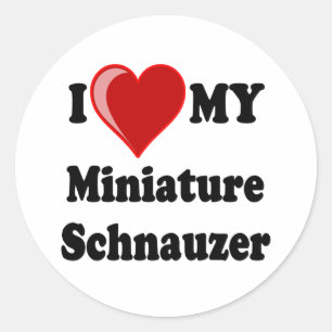 Sticker Rond I Love (Coeur) Mon Chien Schnauzer Miniature