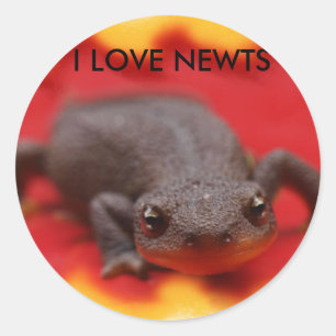 Sticker Rond I Love Newts