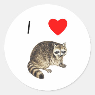 Sticker Rond I Love Raccoons