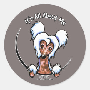 Sticker Rond IAAM crêté chinois