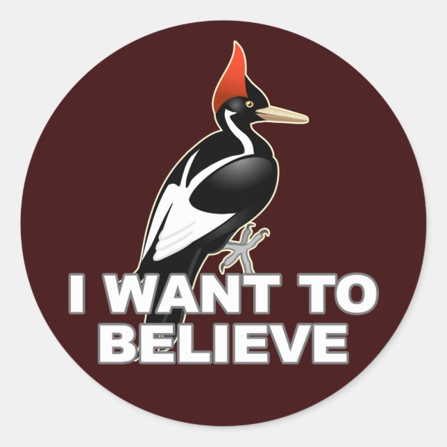 Sticker Rond IBWO : Je Veux Croire (Devant)