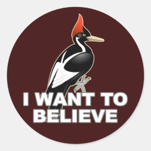 Sticker Rond IBWO : Je Veux Croire