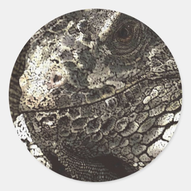 Sticker Rond Iguana (Devant)