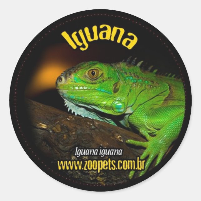 Sticker Rond iguane (Devant)