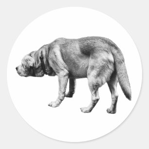 Sticker Rond Il connaît la voie