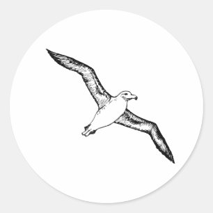 Sticker Rond Illustration d'albatros de vol