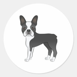 Sticker Rond Illustration de chien Boston Terrier noir et blanc