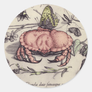 Sticker Rond Illustration de fleur d'insecte botanique de crabe