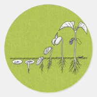Illustration de germination plante