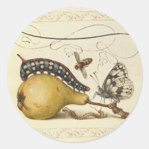 Sticker Rond Illustration de l'insecte du fruit du papillon