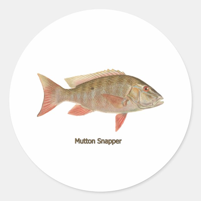 Sticker Rond Illustration de Mutton Snapper (Devant)