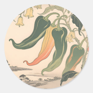 Sticker Rond Illustration de poivre chili vintage