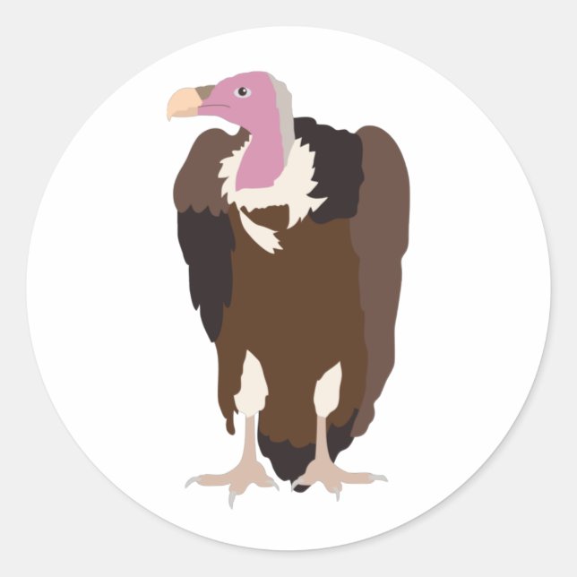 Sticker Rond Illustration des oiseaux vautours (Devant)