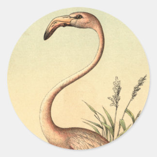 Sticker Rond Illustration du Flamant rose rose vintage