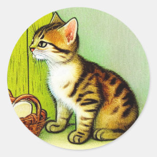 Sticker Rond Illustration vintage Tabby Cat