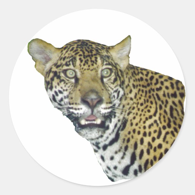 Sticker Rond Image de Jaguar (Devant)