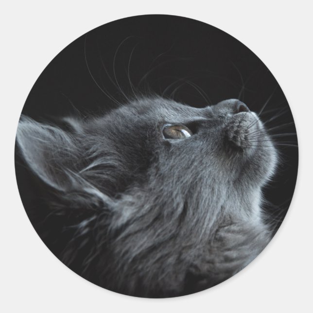 Sticker Rond imagem que combina com qualquer escolha de colagem (Devant)