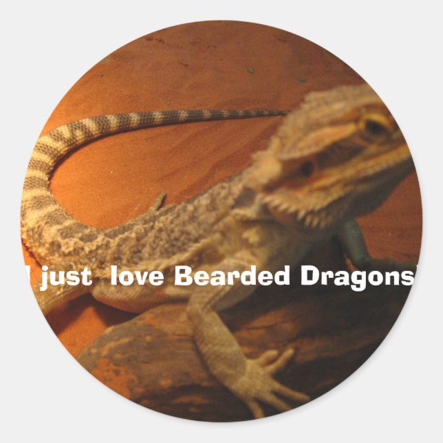 Sticker Rond IMG_4705, j'adore les dragons barrés ! (Devant)