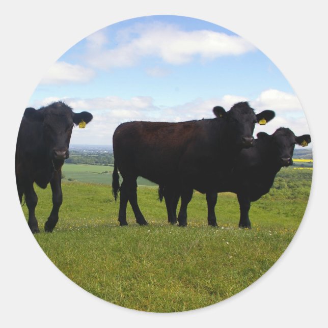 Sticker Rond Impatience (Devant)