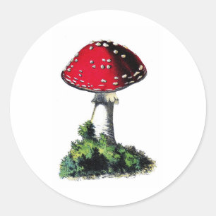 Sticker Rond Impression de champignon rouge vintage