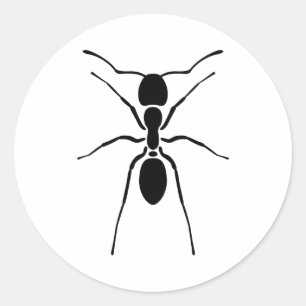 Sticker Rond Impression de la fourmi noire personnalisée
