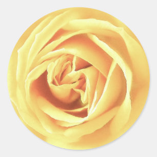 Sticker Rond imprimé rose jaune