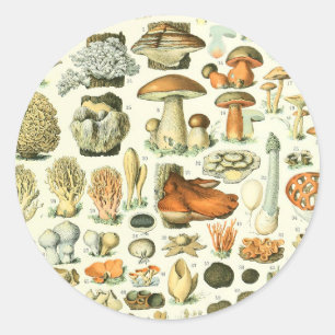 Sticker Rond Imprimer Champignon de l'ampoule d'Adolphe