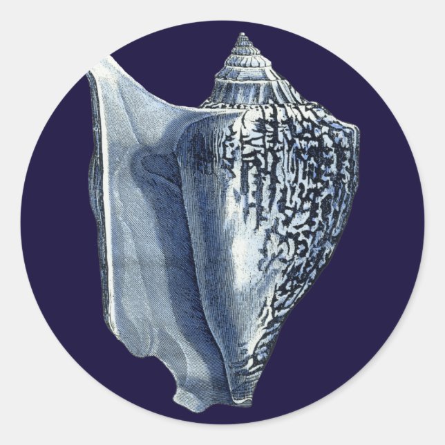 Sticker Rond Indigo Shells I (Devant)
