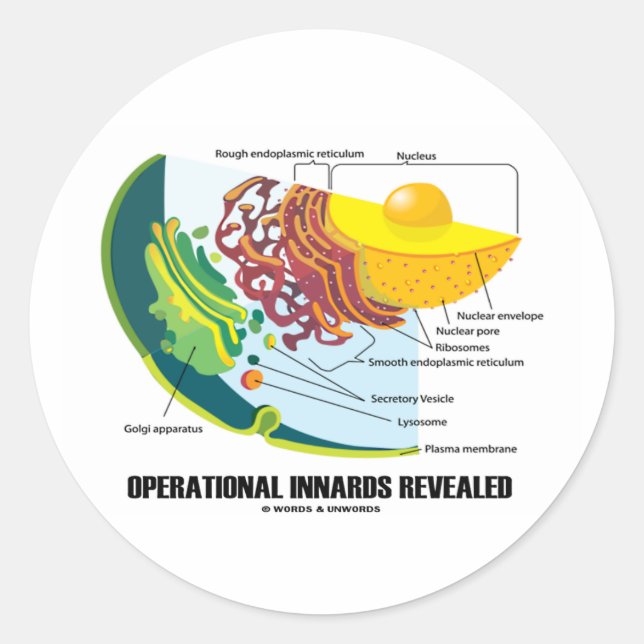 Sticker Rond Informations opérationnelles révélées (biologie ce (Devant)