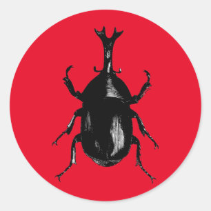 Sticker Rond Insecte d'insecte de scarabées de scarabée