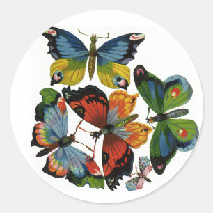 Sticker Rond Insectes ou bugs vintage, beaux papillons