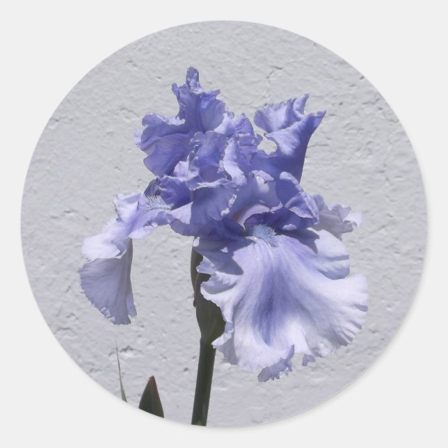 Sticker Rond Iris Bloom (Devant)