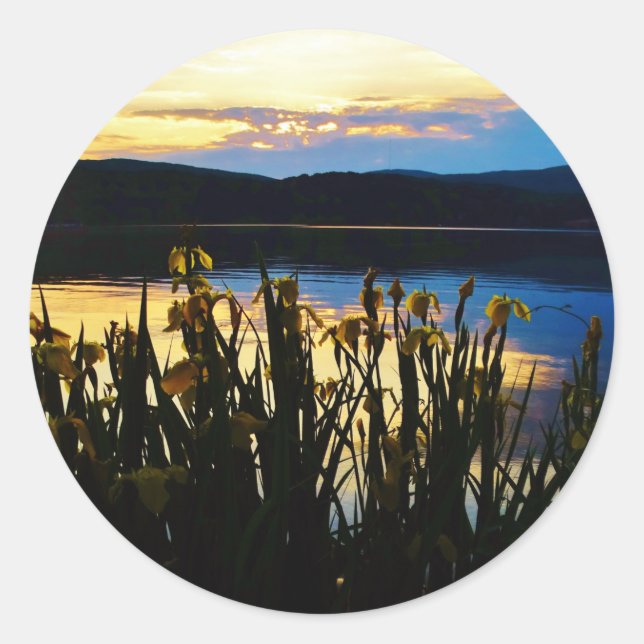 Sticker Rond Iris jaunes sur la rive du lac Arrowhead (Devant)