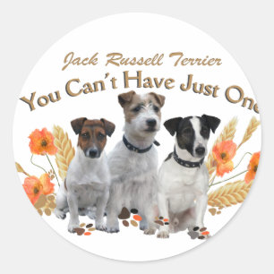 Sticker Rond Jack Russell Vous ne pouvez pas avoir qu'un seul c