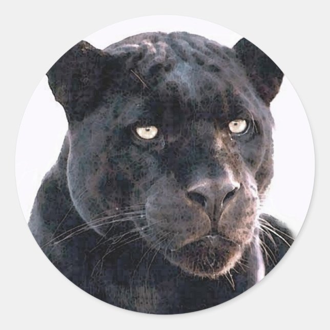 Sticker Rond Jaguar noir (Devant)