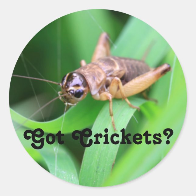 Sticker Rond J'ai des crickets (Devant)