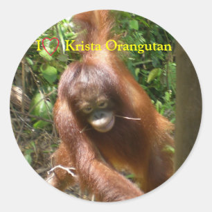 Sticker Rond J'ai le coeur des Orangutans