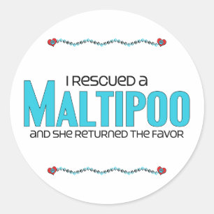 Sticker Rond J'ai secouru une conception (femelle) d'adoption