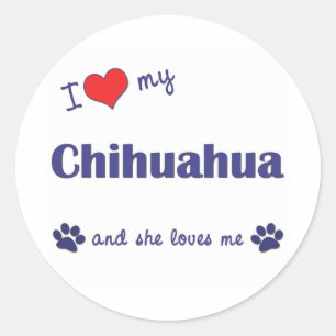 Sticker Rond J'aime mon chiwawa (le chien femelle)