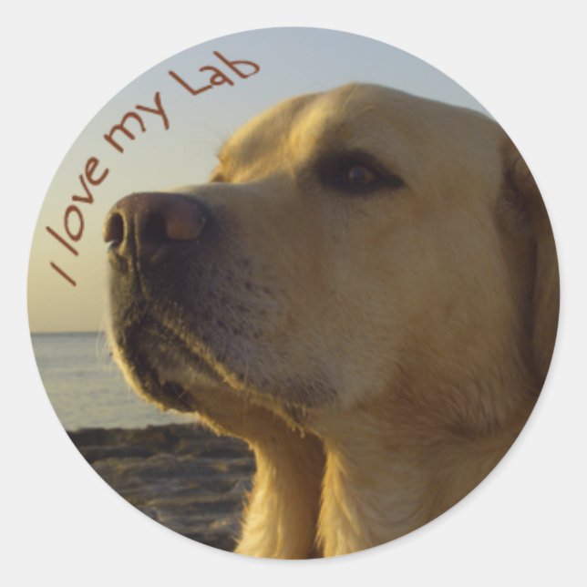 Sticker Rond J'aime mon Lab (Devant)
