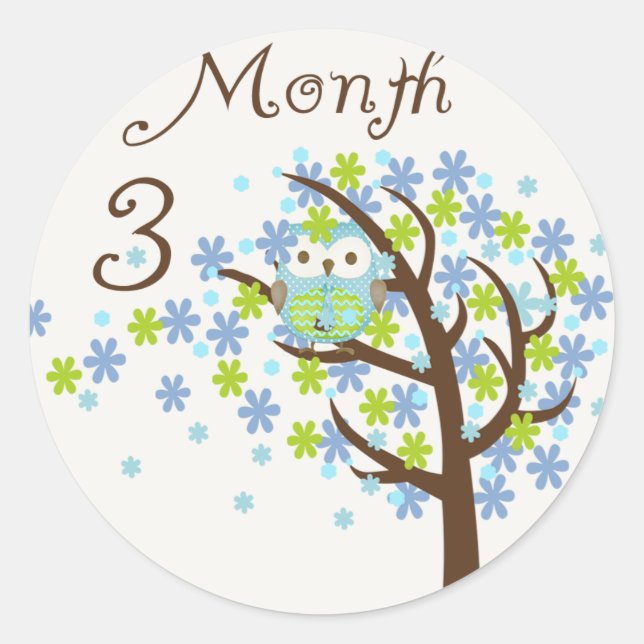 Sticker Rond Jalon de la chouette des arbres Mois 3 (Devant)