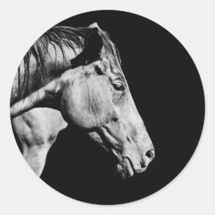 Sticker Rond jambe de cheval de tête