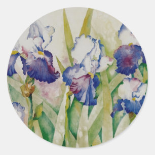 Sticker Rond jardin 2 d'iris