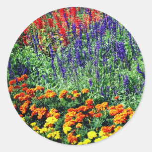 Sticker Rond Jardin de fleurs Beauté