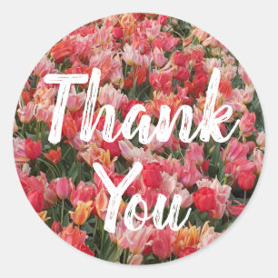 Sticker Rond Jardin de tulipes roses Merci