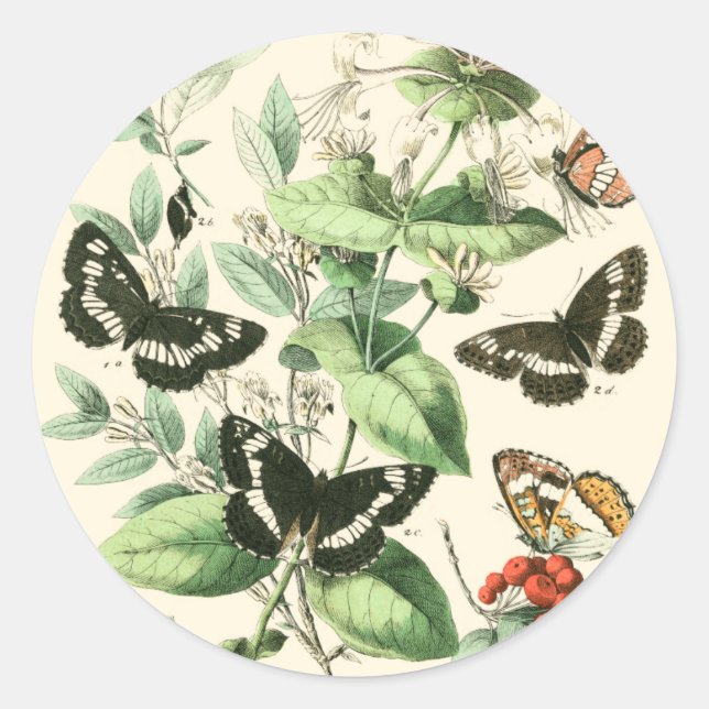 Sticker Rond Jardin des papillons et des fleurs (Devant)