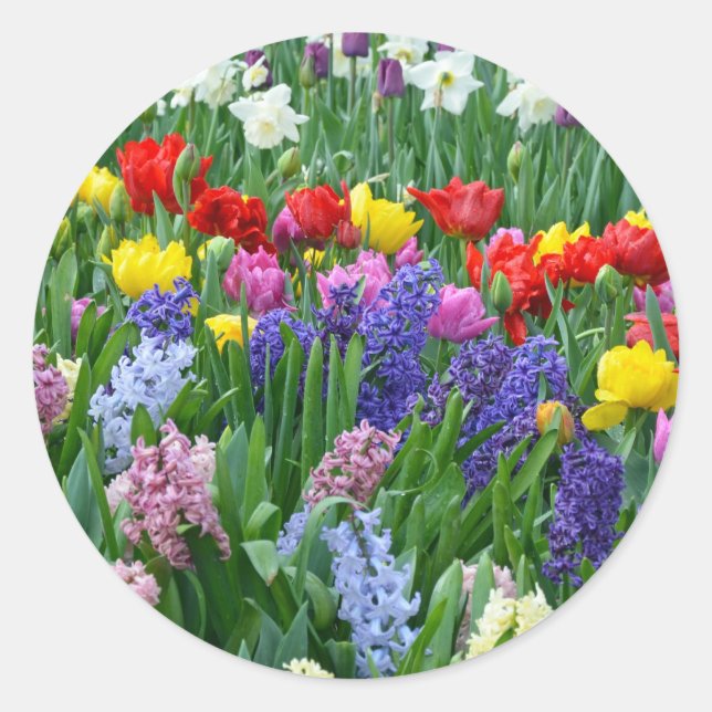 Sticker Rond Jardin fleuri coloré (Devant)