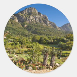 Sticker Rond Jardins botaniques de Kirstenbosch, Le Cap