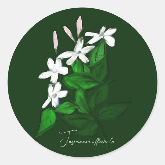 Sticker Rond Jasmine (Devant)